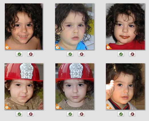 Picasa Face Recognition